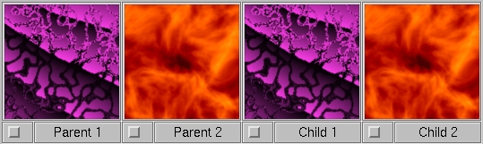 picture of parent images